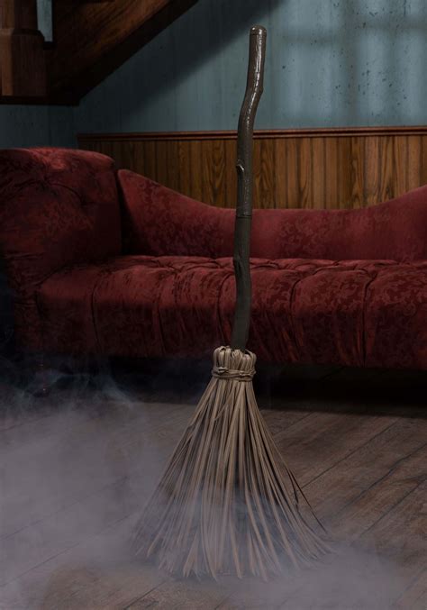 The Room on the Enchanted Witch Broom: A Sanctuary of Witches and their Familiars